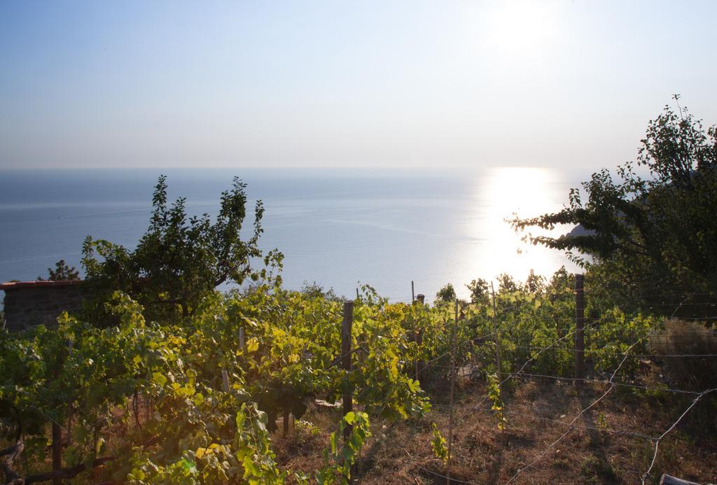 Il Nettare Agriturismo Villa Riomaggiore Exteriör bild